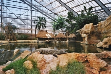 Ferme aux crocodiles